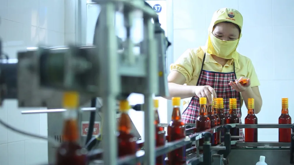 Chỉ 1/11 loại phí để hỗ trợ tái chế bao bì, xử lý chất thải trong Dự thảo Quỹ Bảo vệ môi trường ảnh 1