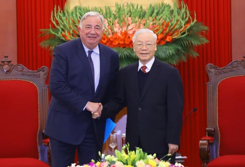 Đưa quan hệ Đối tác chiến lược Việt - Pháp sang giai đoạn phát triển mới ảnh 1