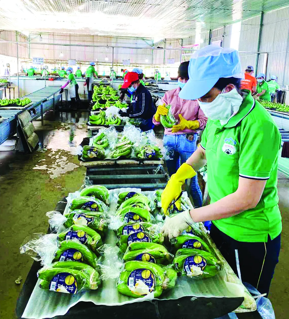 Diễn đàn Thương mại và Đầu tư Việt Nam - Lào: Tạo mọi điều kiện thuận lợi cho doanh nghiệp hai nước mở rộng đầu tư ảnh 1