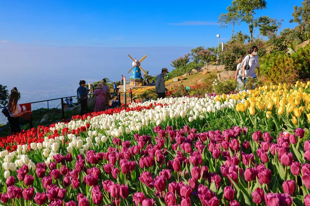 Sun World Ba Den Mountain rực rỡ sắc hoa. Ảnh Ngô Trần Hải An