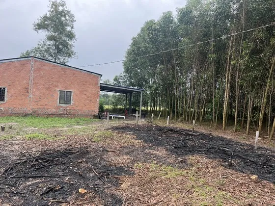 Đồng Nai: đề nghị báo cáo tình trạng phân lô bán sào tại huyện Trảng Bom