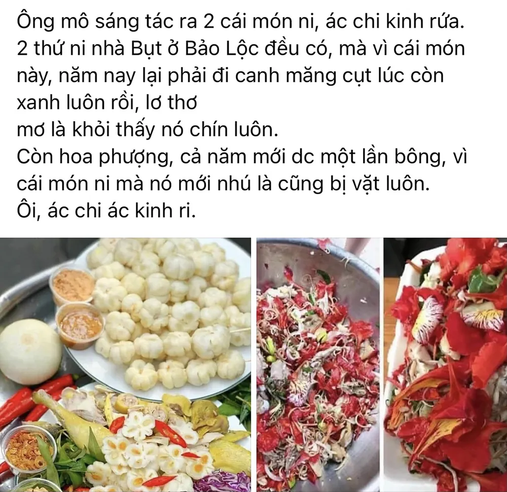 “Măng cụt xanh” đang là hot trend trên mạng xã hội