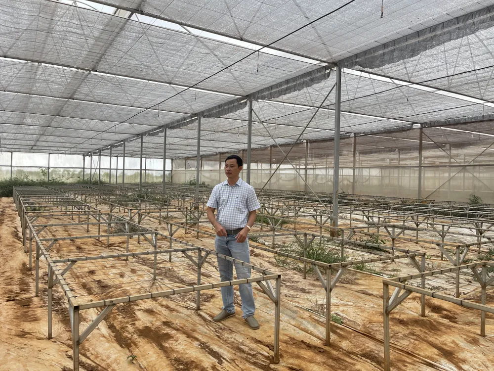 Trang trại Nhất Thống tạm dừng hoạt động hơn 1 năm gây thiệt hại lớn