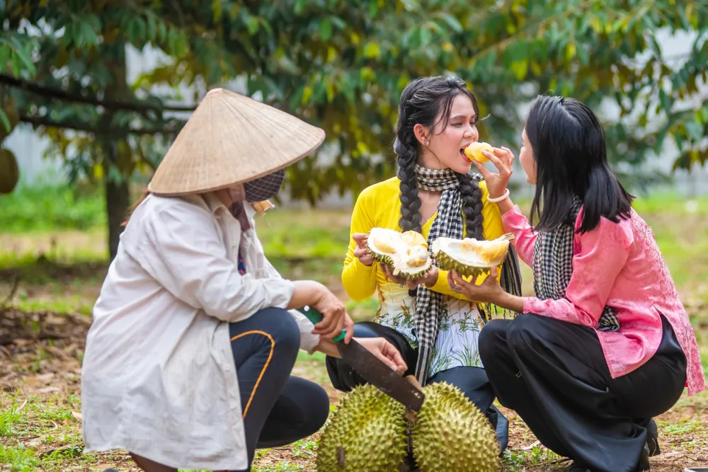 Du khách trải nghiệm thưởng thức trái cây tại vườn