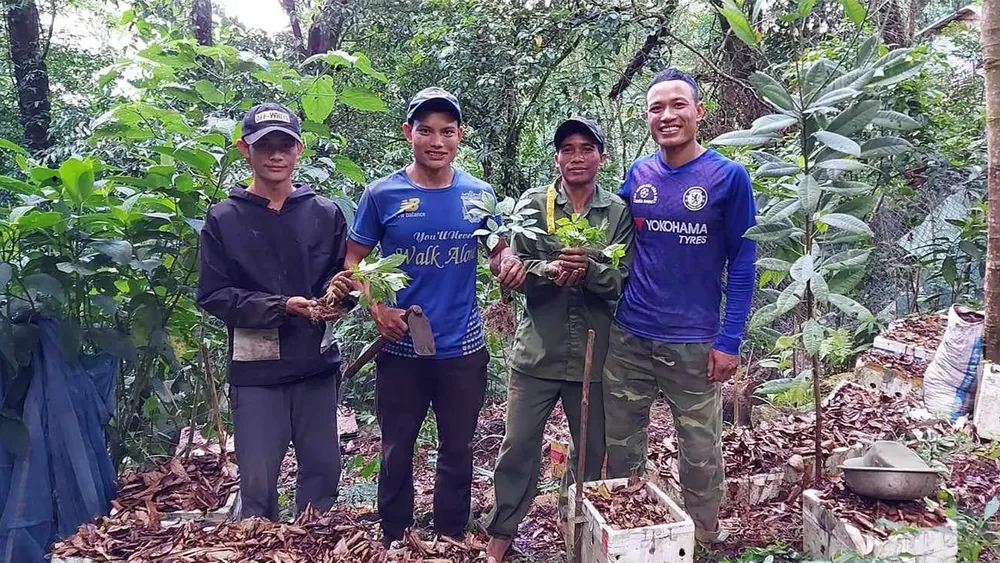 Nhiều thanh niên, giới trẻ ở miền núi ven rừng Ngọc Linh hôm nay đã có cơ hội ở lại quê nhà để tham gia các mô hình trồng sâm với thu nhập rất khá. Ảnh: NGUYỄN CƯỜNG