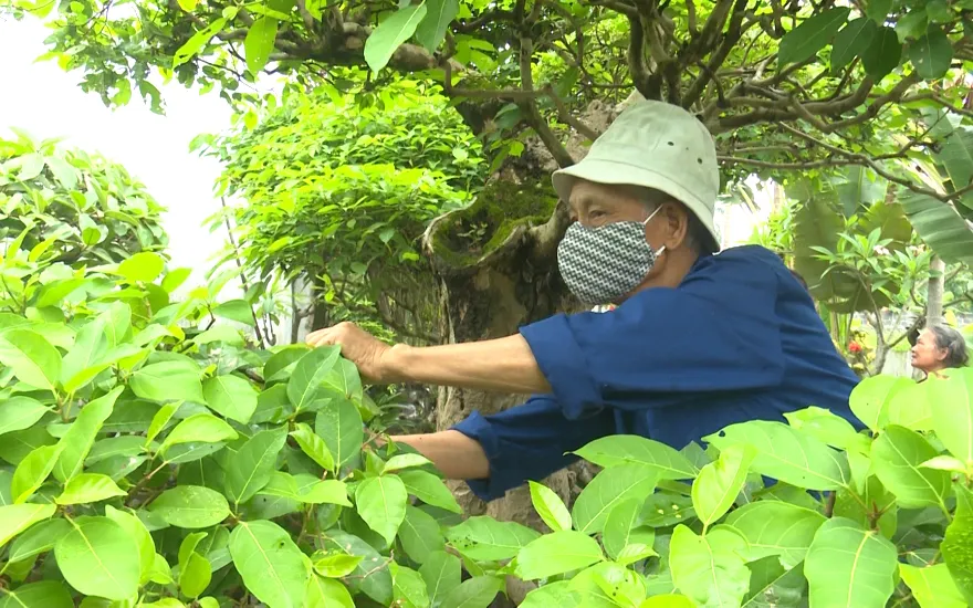 Điền viên tuổi già Điền viên tuổi già