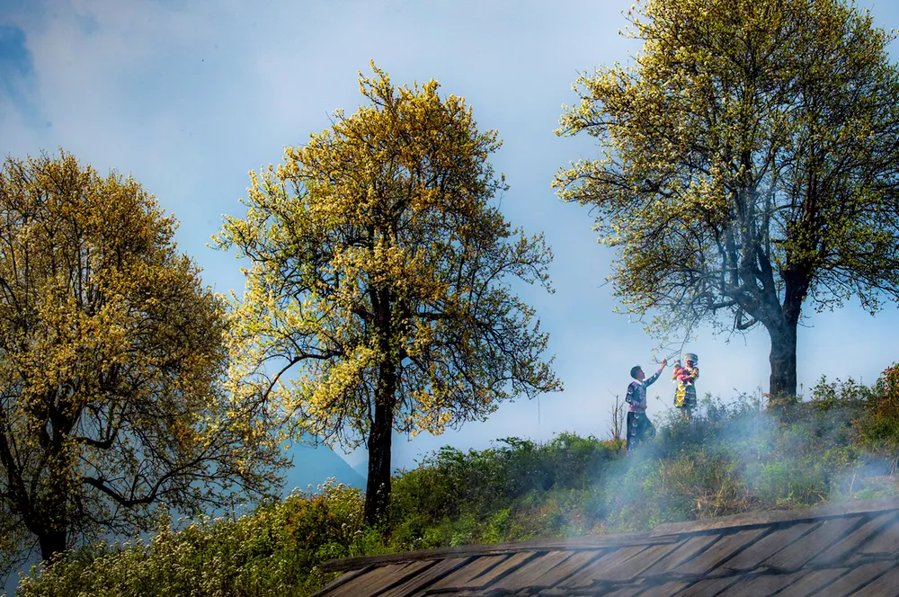 Anh1-9-2- Xuân hạnh phúc.jpg