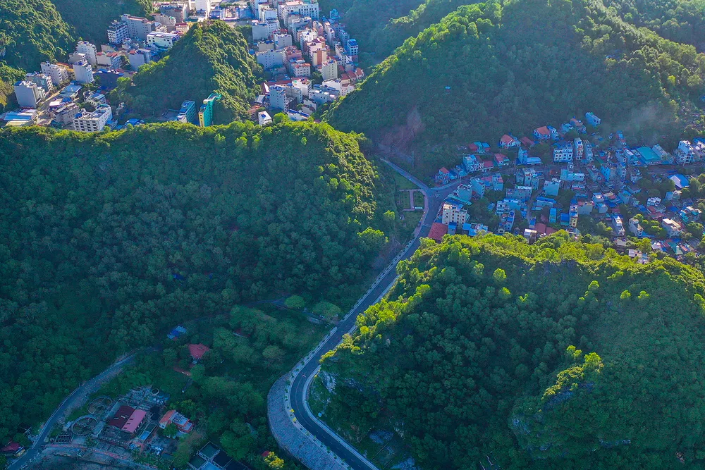 PSA Anh3-9-2- Rừng trong phố.jpg