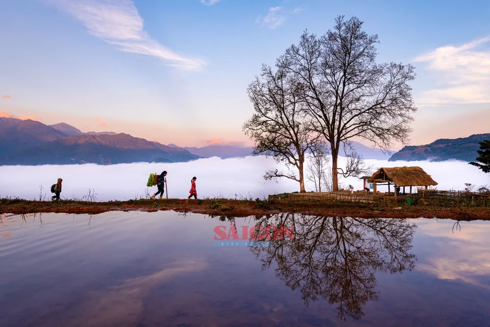 NK 28-3- Theo bà đi chợ.jpeg