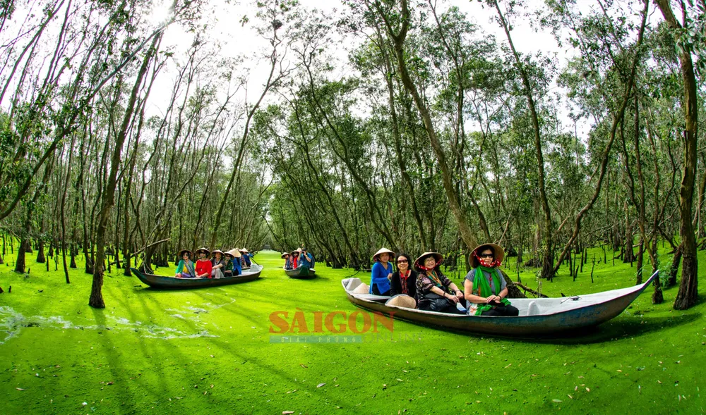 NK 28-3- Xanh ngát rừng tràm.jpeg