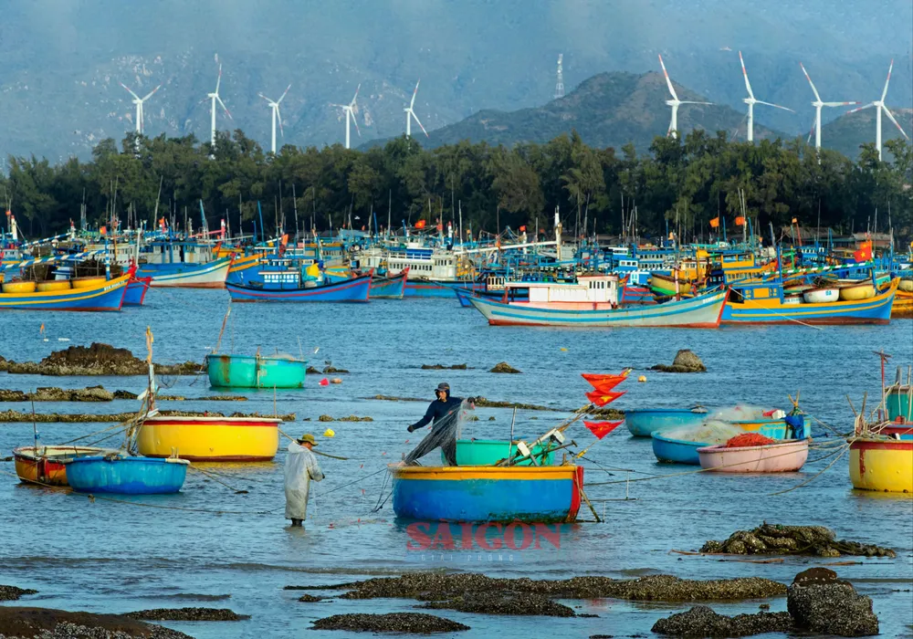 NK 30-3- Điện gió.jpeg