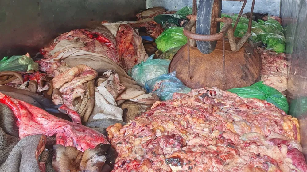 Hà Tĩnh: Xe tải chở 1,1 tấn da, lòng và mỡ động vật không rõ nguồn gốc