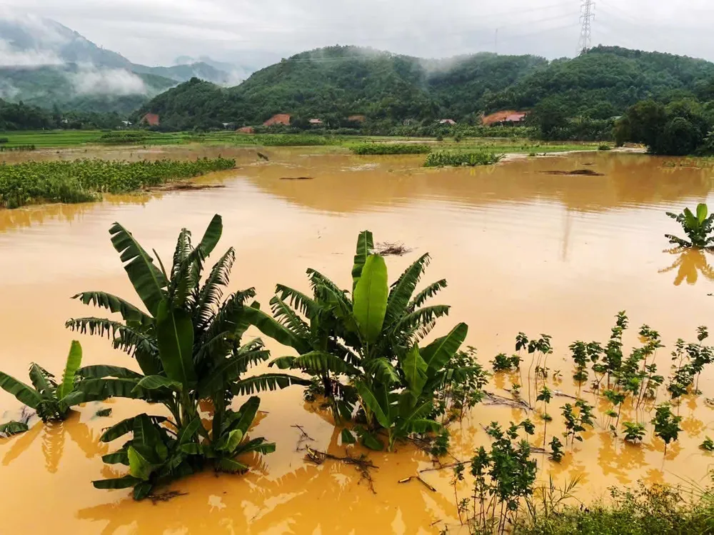Ngập úng sau mưa lớn ở xã Bảo Yên (tỉnh Lào Cai), ngày 13-9