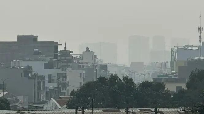 Chính phủ nêu rõ tăng cường nguồn lực và hiệu quả quản lý nhà nước về bảo vệ môi trường