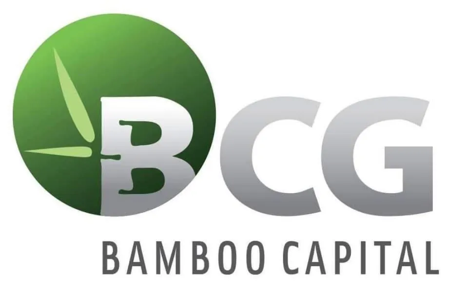 2 cổ phiếu thuộc hệ sinh thái Bamboo Capital bị hủy niêm yết