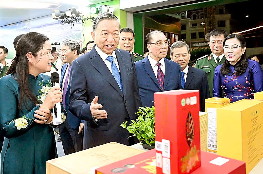 dong-chi-to-lam.jpg