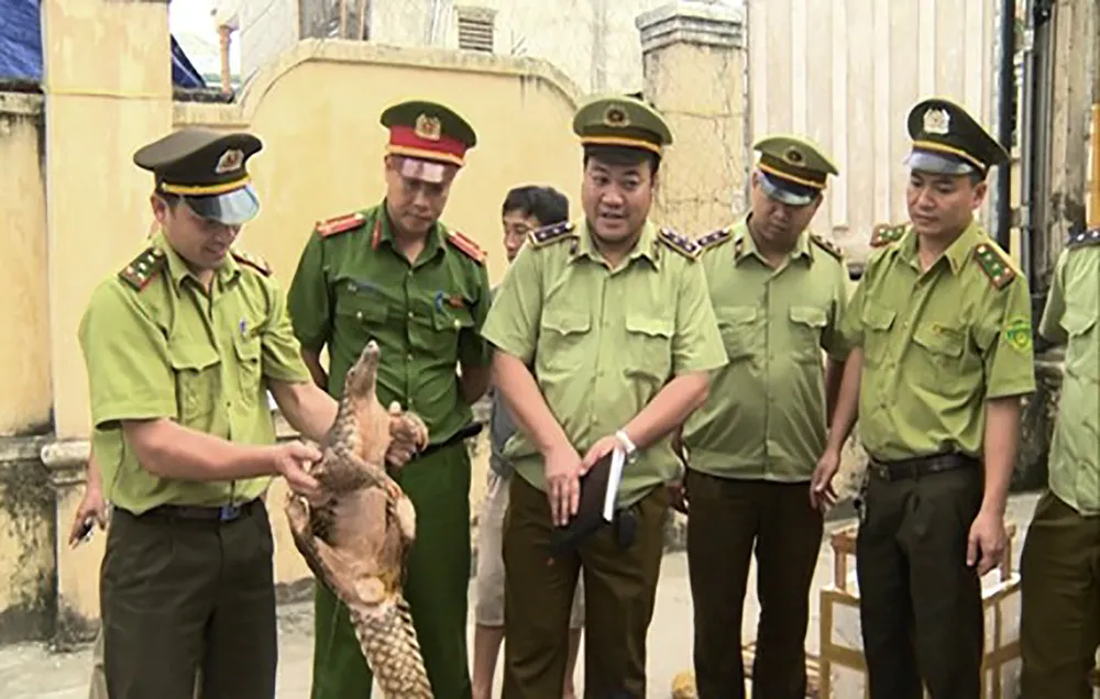 Điểm tin SGGP Online ngày 15.5.2017