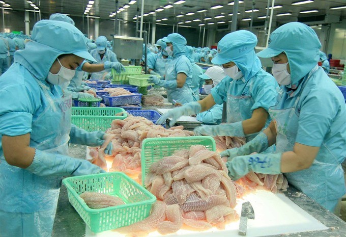 Seafood being processed at a factory run by the International Development and Investment Corp in HCM City. - VNA/VNS
