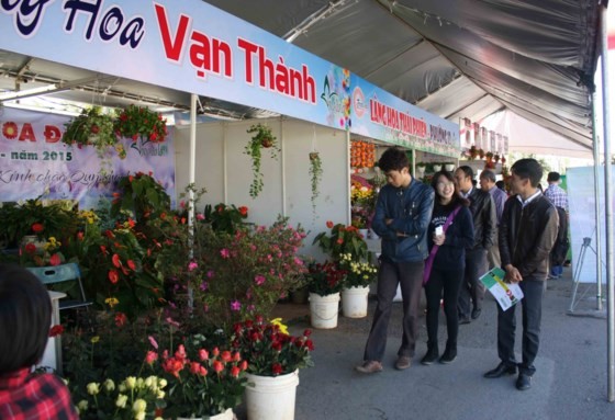 7th Da Lat Flower Festival to be launched from Dec 23-27 ảnh 2