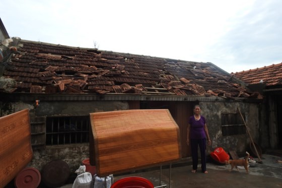 Houses, schools collape after storm in Quang Binh ảnh 2