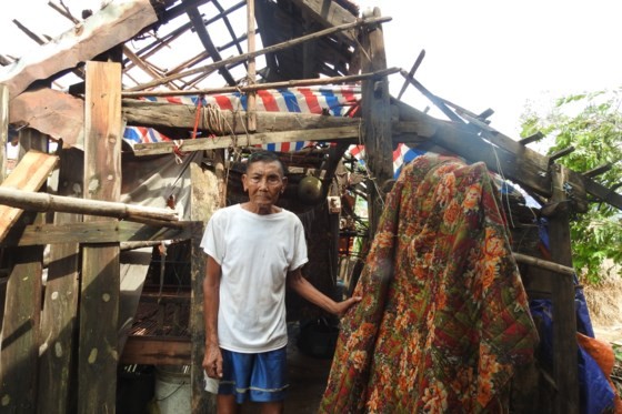 Houses, schools collape after storm in Quang Binh ảnh 4