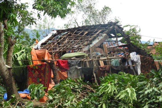 Houses, schools collape after storm in Quang Binh ảnh 5