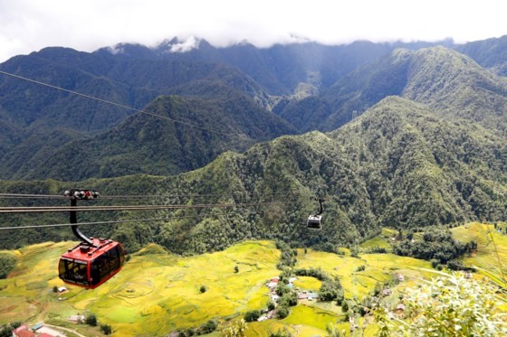 Muong Hoa Valley in ripe rice season ảnh 2