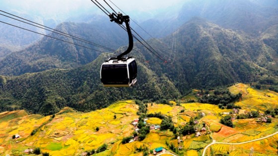 Muong Hoa Valley in ripe rice season ảnh 3