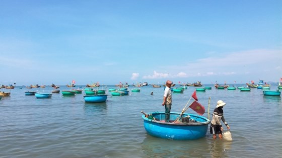 Binh Thuan's fishermen busily prepare for fishing trip after storm ảnh 2