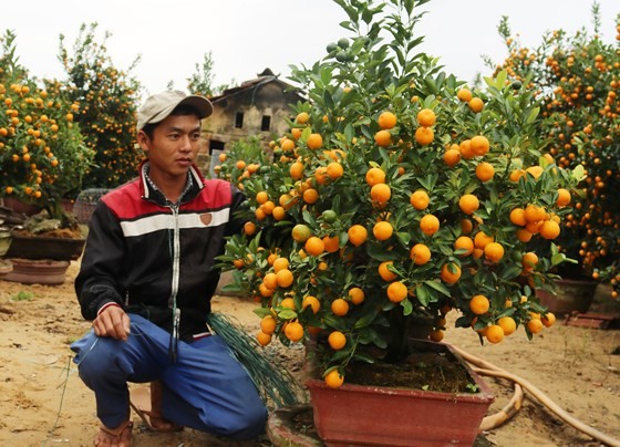 Craft villages prepare for Tet ảnh 2