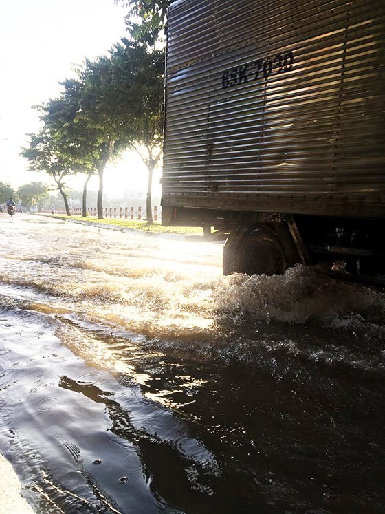 Mekong urged to deal with floods ảnh 3