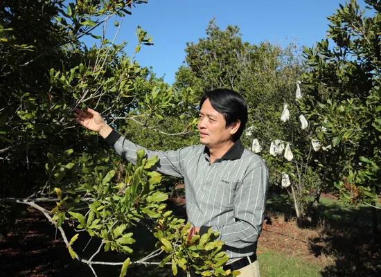 Sau khi rời LienVietPostBank, TS Nguyễn Đức Hưởng sẽ tập trung các công việc tại Hiệp hội Mắc ca Việt Nam với vai trò Phó Chủ tịch thường trực Hiệp hội