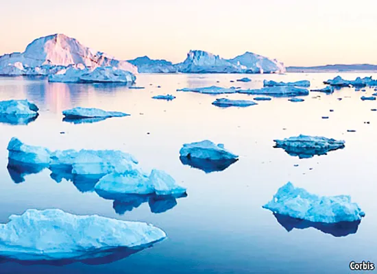 Thắng giải thi chạy ở tuổi 101  ảnh 1