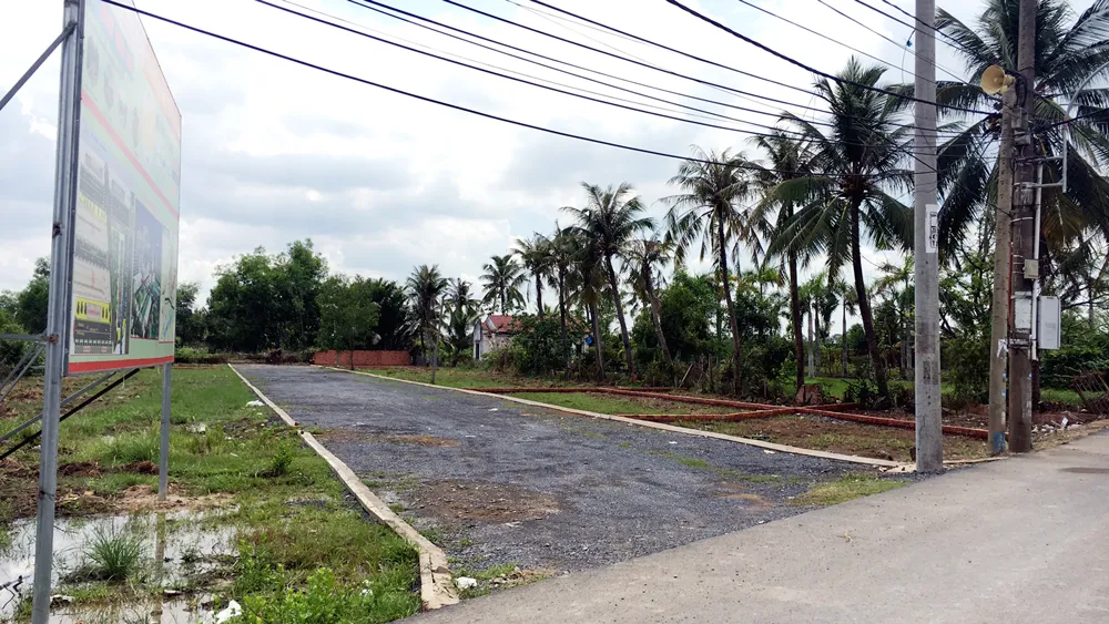 TPHCM: Giá đất vùng ven “hạ nhiệt”  ảnh 1