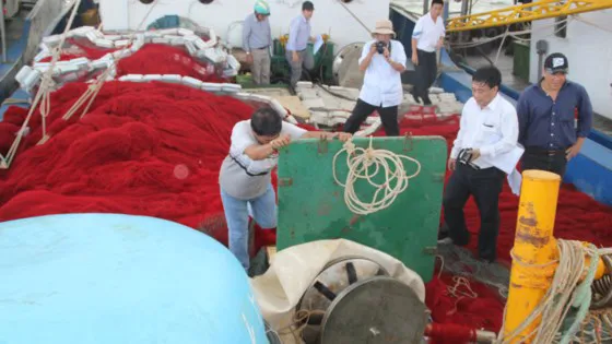 Không để chủ trương đúng bị “đứt gánh giữa đường” ảnh 1