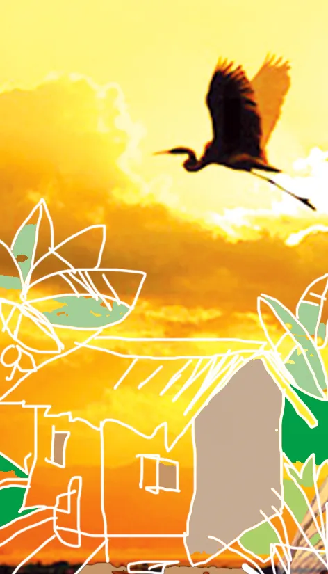 Tâm tình ai trong đó ảnh 1