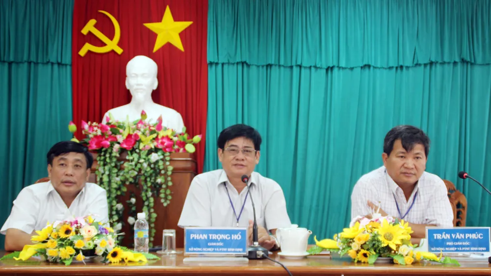 Sự cố tàu vỏ thép: Phương án khắc phục chắp vá và mập mờ ảnh 1