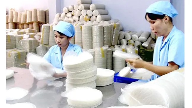 HTX thương mại, dịch vụ tiểu thủ công nghiệp và nông nghiệp chưa nhận được nhiều chính sách hỗ trợ ảnh 1