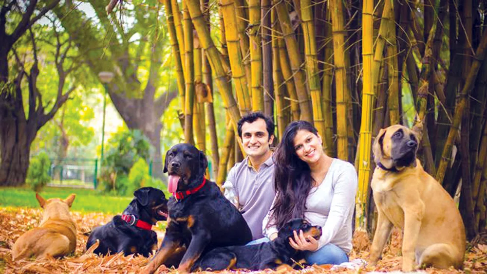 Nuôi chó giúp chống lại bệnh eczema 