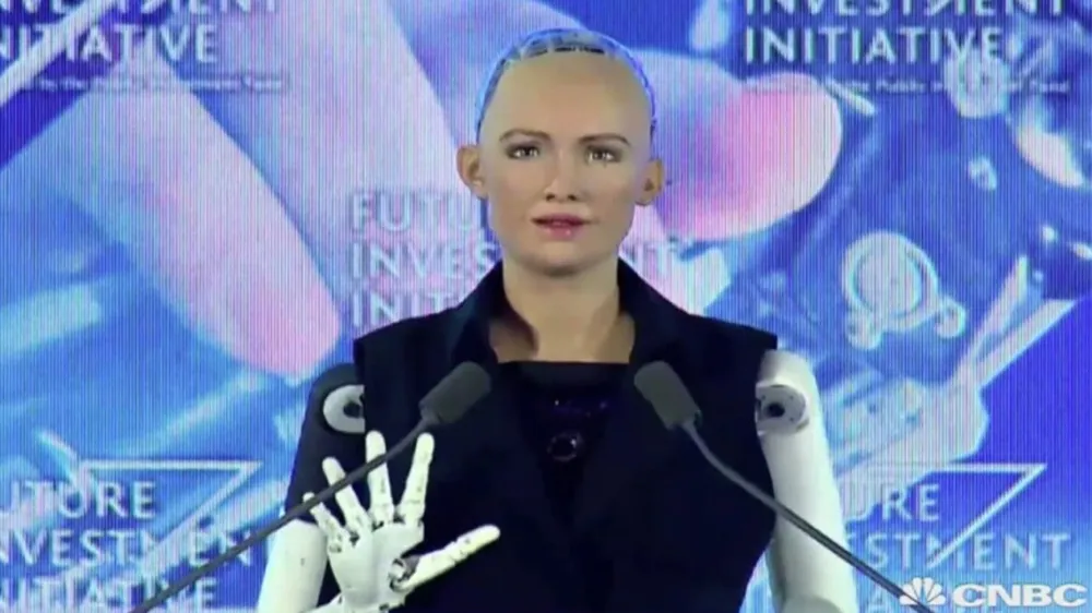 Tranh cãi về robot được cấp quyền công dân ảnh 1