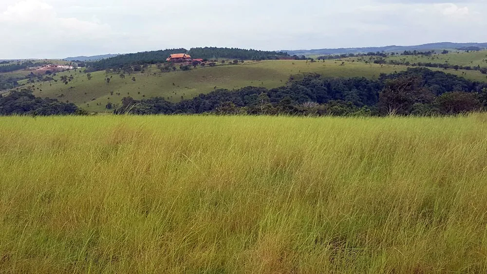 Đi phượt ở Mondulkiri ảnh 1