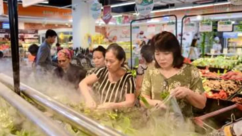 Hệ thống bán lẻ của tập đoàn VINGROUP đạt top 2 trong tâm trí người tiêu dùng Việt ảnh 1