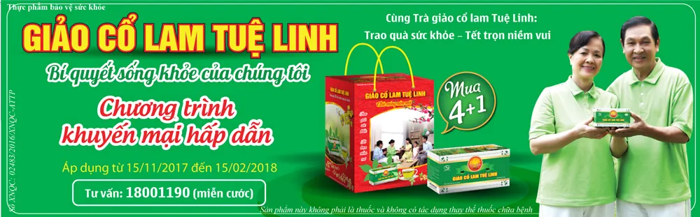 Bách Niên Giai Lão nhờ 2 tách trà Giảo Cổ Lam mỗi ngày ảnh 1