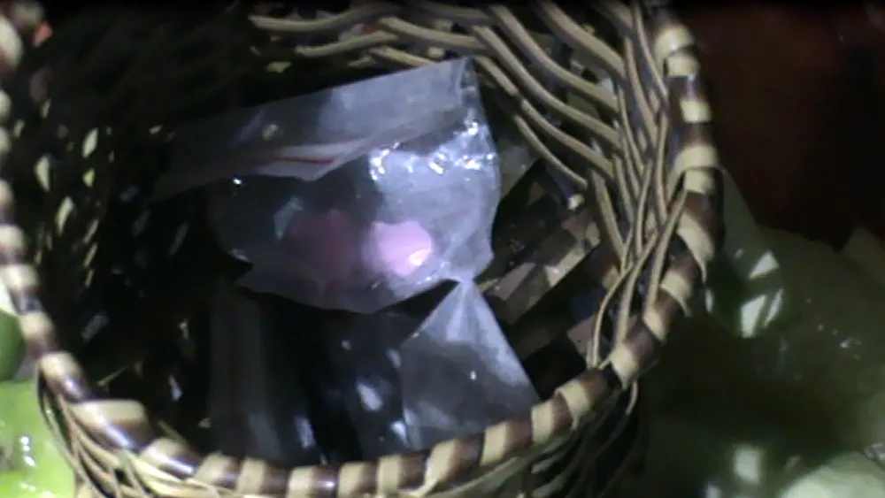 Đột kích quán bar, phát hiện nhiều “dân chơi” dương tính với ma túy ảnh 2