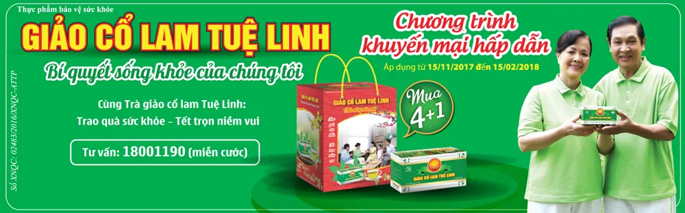 Trà Giảo cổ lam - Món quà Tết cho năm mới trường thọ ảnh 1