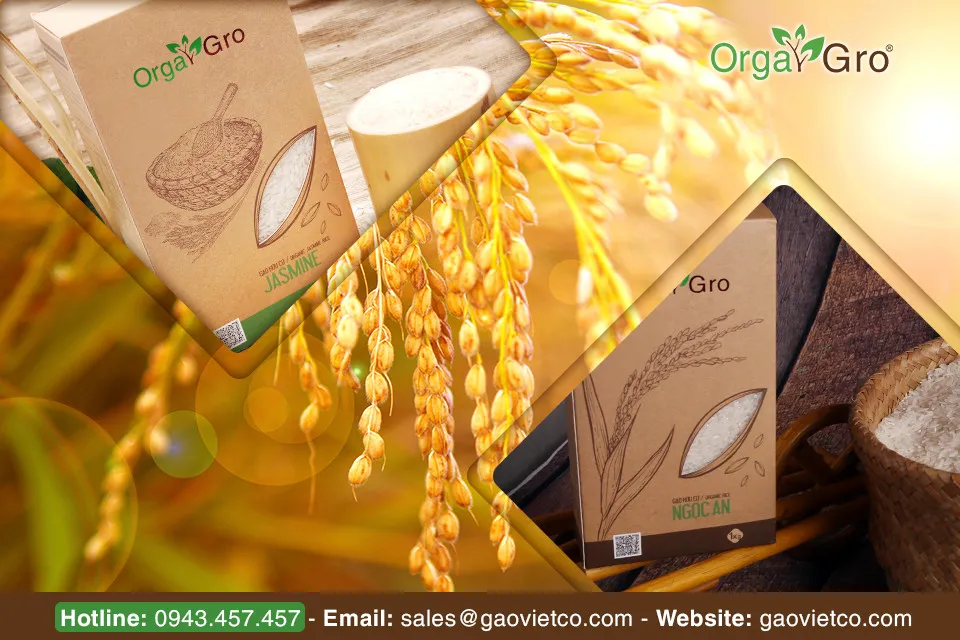 Gạo lứt Thảo dược – đổi vị cho người ăn kiêng ảnh 1