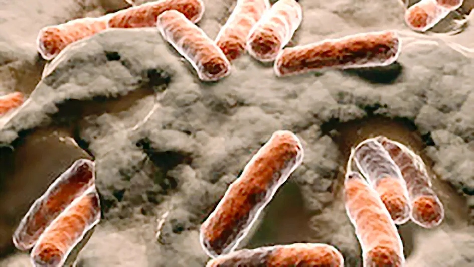 Phát hiện chủng vi khuẩn có thể ngăn ung thư