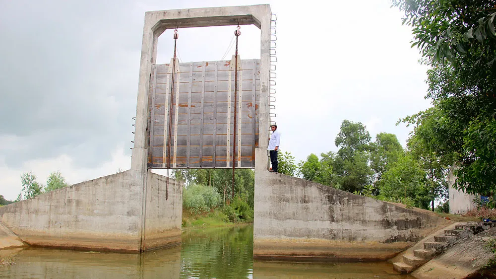 Đồng bằng sông Cửu Long: Khẩn trương chống hạn mặn, bảo vệ sản xuất  ảnh 1