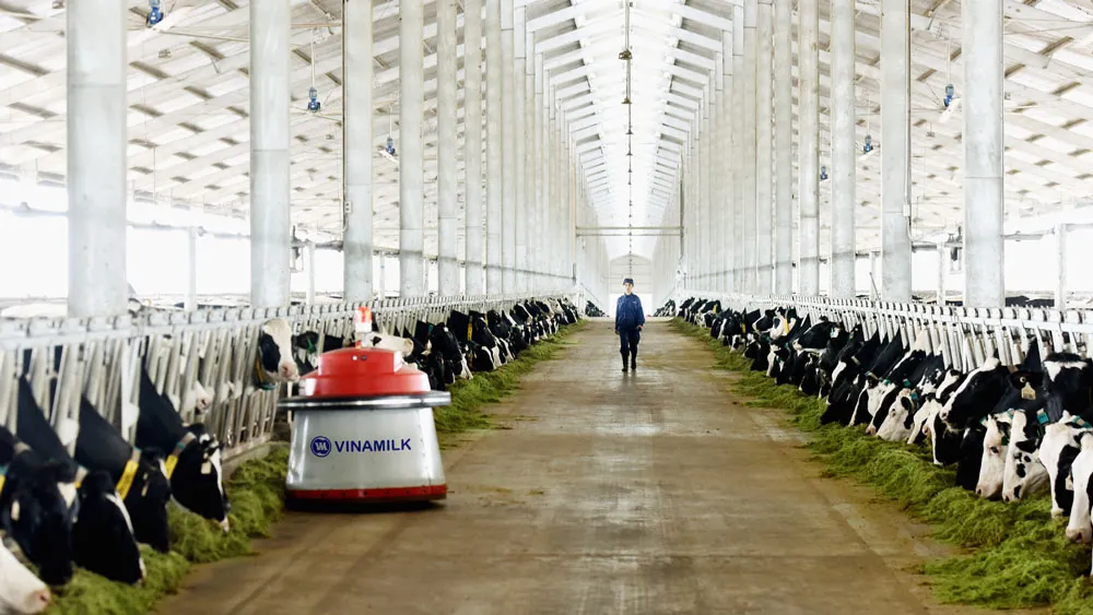 Vinamilk mở tổ hợp trang trại bò sữa công nghệ cao tại Thanh Hóa ảnh 4
