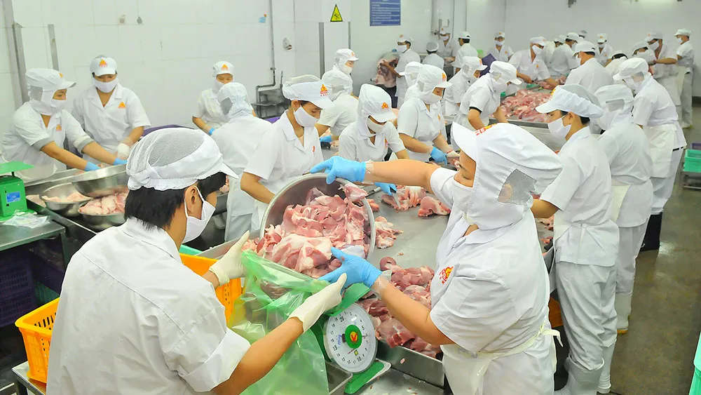 Doanh nghiệp bình ổn thị trường TPHCM chinh phục thị trường miền Bắc ảnh 1